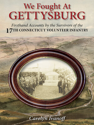 cover image of We Fought at Gettysburg